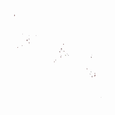 Export Image