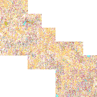 Export Image
